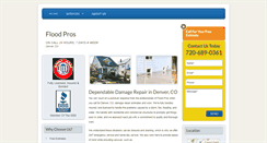 Desktop Screenshot of denverdamagerepair.com